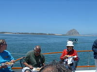 Three Hour Tour