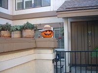 Holiday Decorations